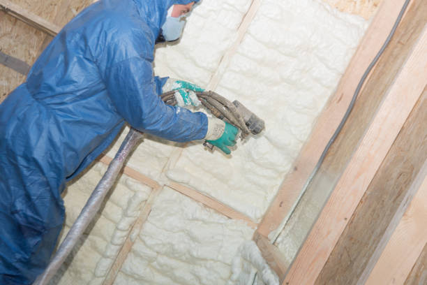 Best Crawl Space Insulation  in Russell, KY